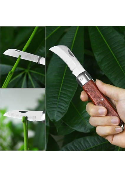 No.4 Stili Aşılama Araçları Katlanabilir Aşılama Budama Bıçağı Profesyonel Bahçe Katlanabilir Aşılama Bıçağı Budama Fide Ağacı Kesme Aleti (Yurt Dışından) fiyatları
