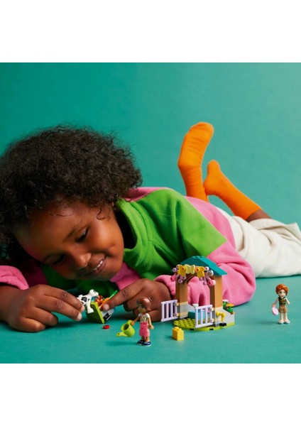 Friends Autumn'un Dana Ahırı 42607 fırsatları