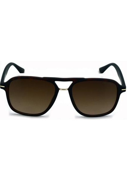 DG 3597 C3 55-17-145 Erkek Güneş Gözlüğü