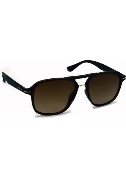 DG 3597 C3 55-17-145 Erkek Güneş Gözlüğü fiyatları