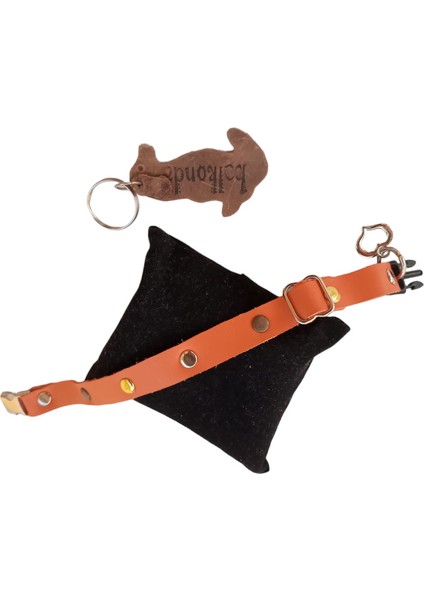 Köpek kolyesi hakiki deri minik ırk turuncu metal zımbalı genişlik:1,5cm boyun ölçüsü:14-26cm ayarlamalı dog collar K1-11TU fiyatları