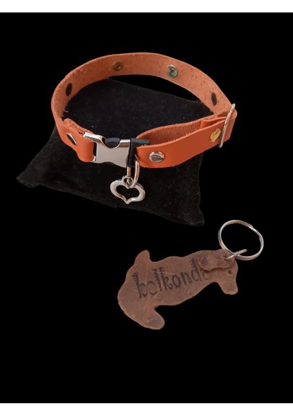 Köpek kolyesi hakiki deri minik ırk turuncu metal zımbalı genişlik:1,5cm boyun ölçüsü:14-26cm ayarlamalı dog collar K1-11TU modelleri