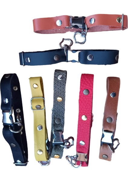 Köpek kolyesi hakiki deri minik ırk turuncu metal zımbalı genişlik:1,5cm boyun ölçüsü:14-26cm ayarlamalı dog collar K1-11TU fırsatları