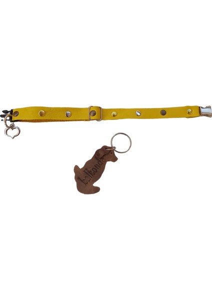 Köpek kolyesi hakiki deri minik ırk sarı metal zımbalı genişlik:1,5cm boyun ölçüsü:14-26cm ayarlamalı dog collar K1-11SA