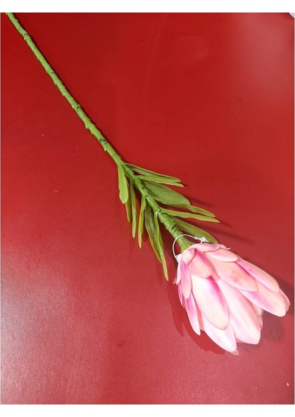 Protea Dal 56CM Dusty Pink Yapay Çiçek Dekoratif Özel Tasarım Pembe Yeşil Elit Premium 1 Adet