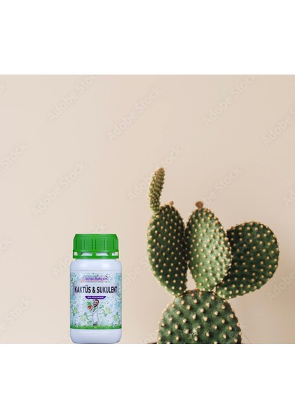 Kaktüs ve Sükulent 500 ml