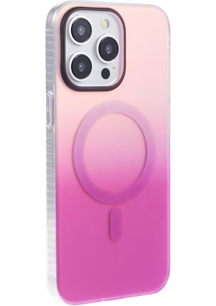 Apple iPhone 12 Telefon Kılıfı (Yurt Dışından)