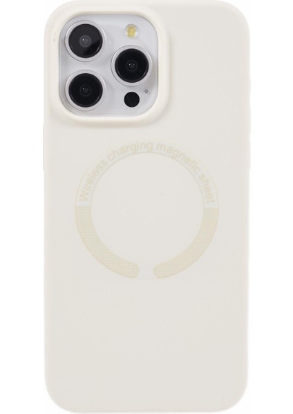 Apple 12 Pro Max Telefon Kılıfı (Yurt Dışından) fiyatları