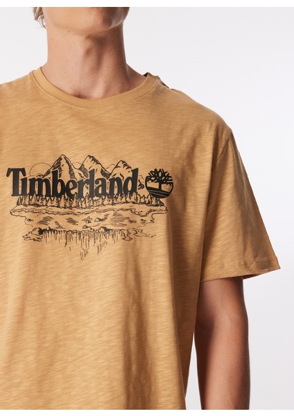 T-Shirt L Kahve fırsatları