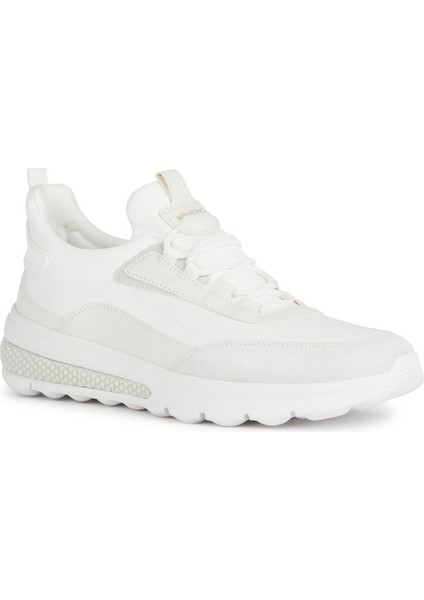 Erkek Sneaker