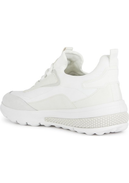 Erkek Sneaker