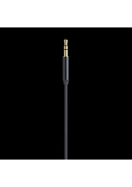IX-UC023 Yüksek Kaliteli Type-C To 3.5 Jack Aux Audio Kablo