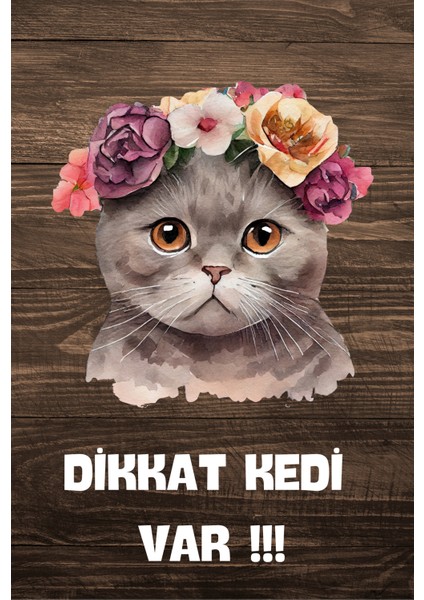 Dikkat Kedi Var Temalı Poster Dktk3