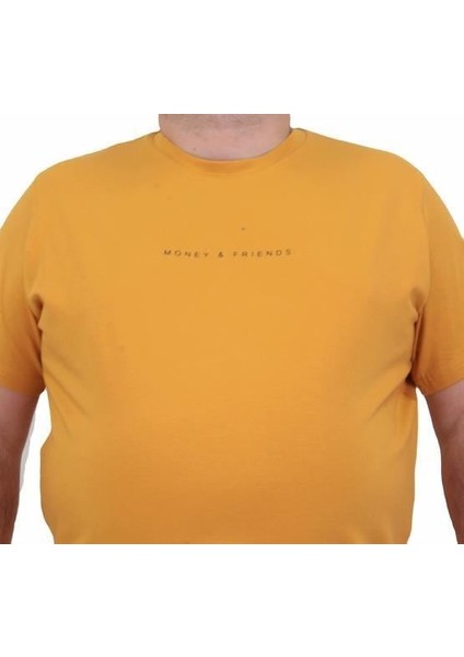 Erkek Büyük Beden Sıfır Yaka T-Shirt Rich 24134 Hardal modelleri