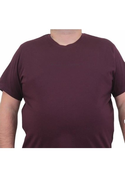 Erkek Büyük Beden Sıfır Yaka T-Shirt Rich 24134 Murdum modelleri
