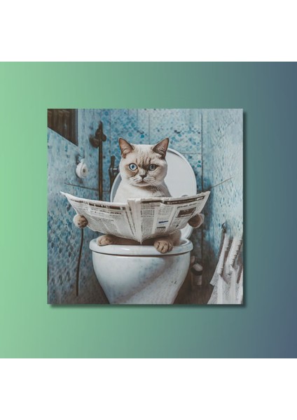 Tekli Kare Kanvas Banyo Tablosu Gazete Okuyan Beyaz British Shorthair modelleri