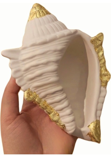 Istiridye Midye Deniz Kabuğu Mumluk Saksı Silikon Kalıp K-1301, Kokulu Taş Sabun Alçı Mum Kalıbı modelleri