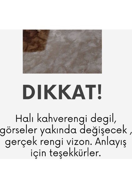 Pelüş Halı Modern Halı Kaymaz Taban Saçaksız Halı Yatak Odası Halı Salon Odası Mutfak Hol Sim