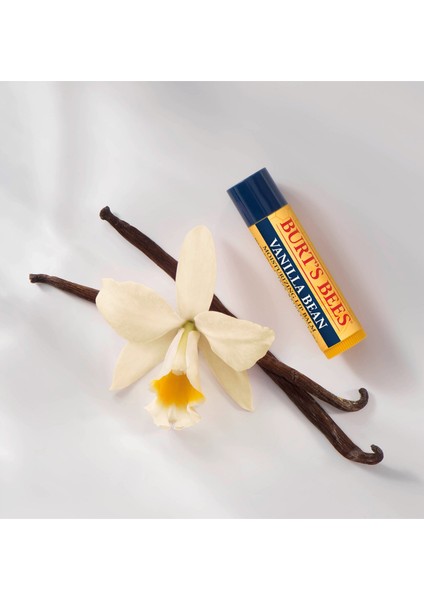 Moisturizing Vanilla Bean Vanilya Özlü Dudak Bakım Kremi