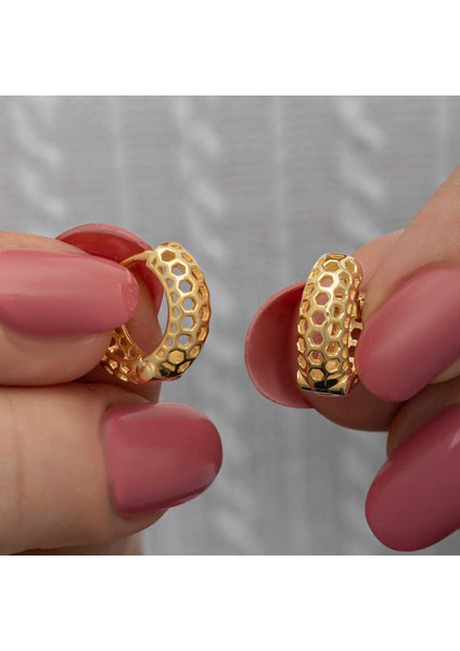 Gümüş Gold Petek Desenli Halka Kadın Küpe fiyatları