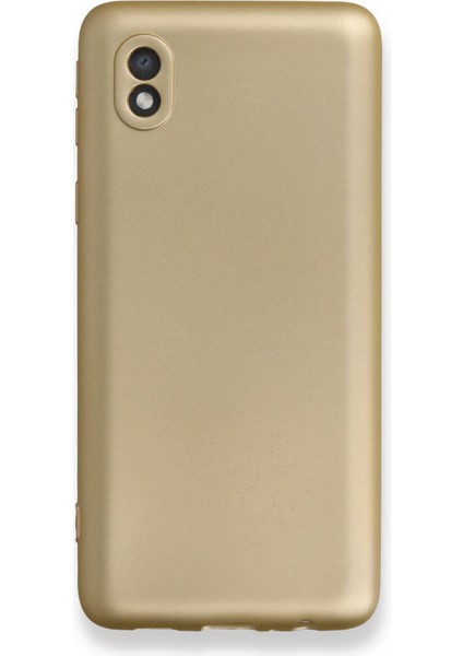 Samsung Galaxy A01 Core Uyumlu Suide Arka Koruma Kılıf