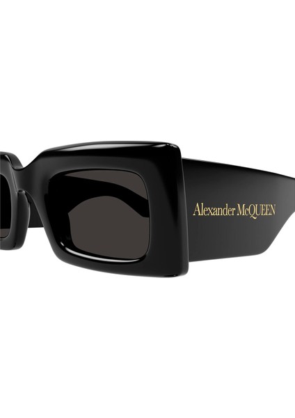 AM0433S 001 Sunglasses