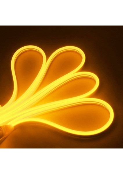 CT-4555 Neon LED 12 V Amber 5mt fiyatları