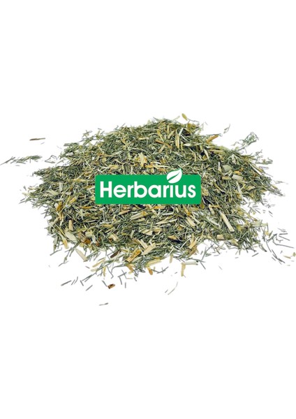 Kırkkilit Otu - At Kuyruğu 100 gr (Horsetail Herb)