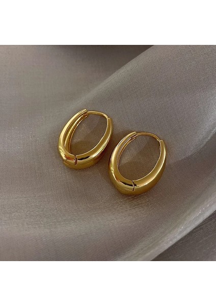 No.2 Boyutu 2022 Yeni Moda Kadın Pürüzsüz Su Damlası Küpe Kadınlar Için Uygun Kişilik Paslanmaz Çelik Oval Küpe Büyüleyici Takı (Yurt Dışından) fırsatları