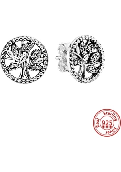 N031 2022 Moda 100% Terling Gümüş Küpe Papatya Çiçekleri Kar Tanesi Tüy Büyük Zirkon Saplama Küpe Kadınlar Güzel Takı Hediyeler (Yurt Dışından)