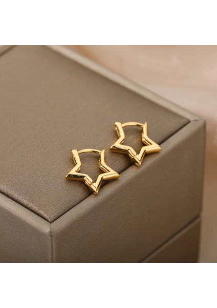 E2095G Yıldız Pendientes Küpe Kadınlar Için Kız Paslanmaz Çelik Minimalist Hoop Piercing Küpe Yeni Takı Hediye Aretes De Mujer (Yurt Dışından) fiyatları