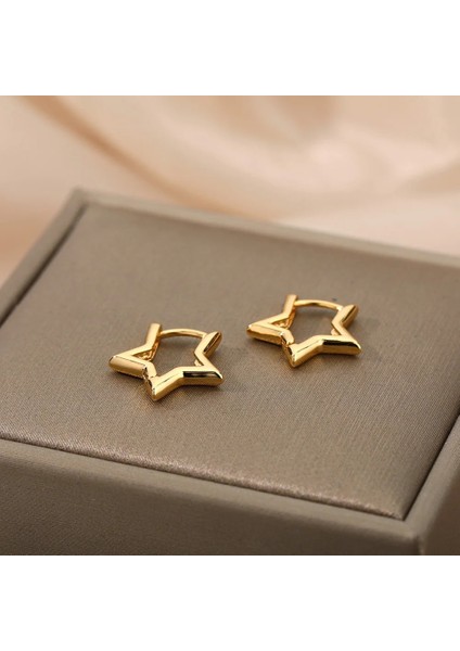 E2095G Yıldız Pendientes Küpe Kadınlar Için Kız Paslanmaz Çelik Minimalist Hoop Piercing Küpe Yeni Takı Hediye Aretes De Mujer (Yurt Dışından) fırsatları