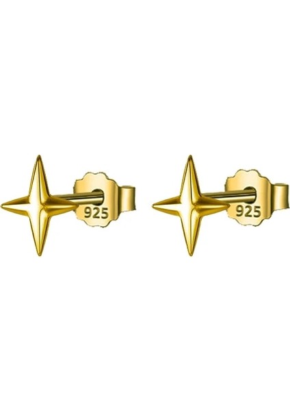 Altın Kamıra Terling Gümüş Minimalist Parlaklık Yıldız Altın Mini Damızlık Küpe Kadınlar Için Bebek Kulak Kemik Piercing Parti Takı (Yurt Dışından)