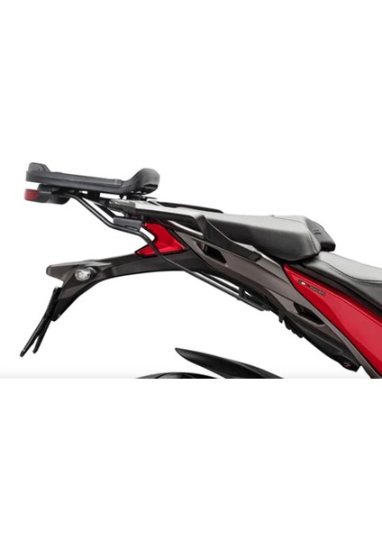 Çanta Demiri Ducatı Multıstrada 950/1200/1260 D0ML17ST