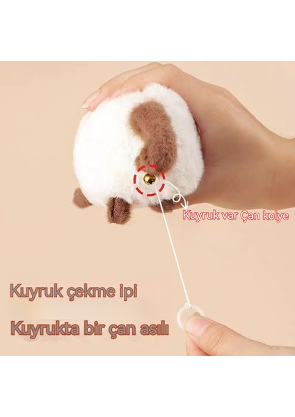 Yavru Kedi Peluş Bebek, Ipi Çek, Hareket Et ve Havla, Sevimli Peluş Çizgi Film Bebeği, Doğum Günü Hediyesi (Yurt Dışından)