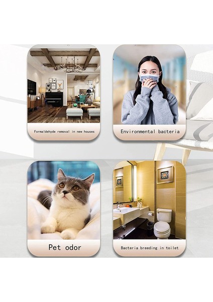 Sagrado Plug-In Hava Temizleme Cihazı, Mini Taşınabilir Hava Temizleme Cihazı, Iyon Jeneratörü Hava Temizleme Cihazı Evcil Hayvan Yatak Odasına Uygun Siyah Abd Tak (Yurt Dışından) fiyatları