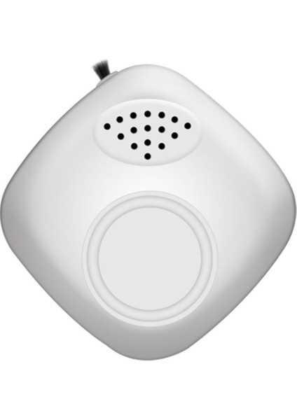 Sagrado 5V Taşınabilir Hava Temizleme Cihazı Ev USB Negatif Iyon Jeneratörü Giyilebilir Mini Hava Temizleme Cihazı Dezenfeksiyon Temiz Oda (Yurt Dışından)