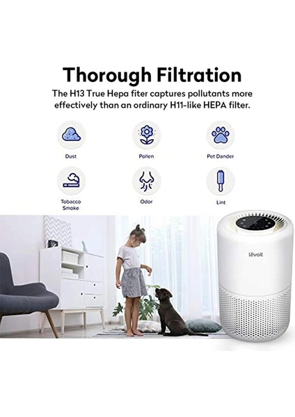 Sagrado Pm2.5 Hava Temizleme Cihazı Için Hepa Filtre Core 200 Aktif Karbon Filtre Çekirdek 200S Hava Temizleme Filtresi (Yurt Dışından) indirimleri