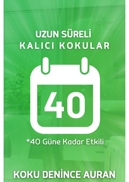 Patchouli Çubuklu Oda Kokusu Bambu Kokusu Dekor Lüx Reed Diffuser 100ml