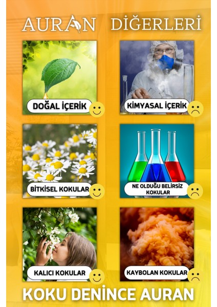 Pumpkin Çubuklu Oda Kokusu Bambu Kokusu Dekor Reed Diffuser 150ml indirimleri
