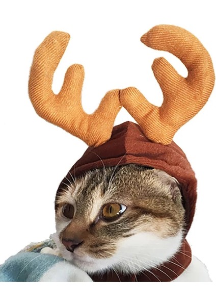 Longbangdian Shop Açık Yeşil Tarzı S Beden Ristmas Şapka Cadılar Bayramı Pet Kostüm Kedi Köpek Yavrusu Kostümleri Için Eşarp Hediye Yeni Yıl Noel Baba Kış Cosplay Cadılar Bayramı Cosplay (Yurt Dışından)