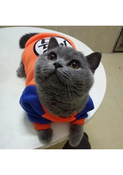 Kapüşonlu-Mr.q Stili Xs Beden Pet Kedi Kostüm Yaz Kedi Yelek Hoodie Rahat Maskotlar Gotos Kediler Için Giysiler Katten Coat Kedi Giyim Sweatshirt Kıyafet (Yurt Dışından) fırsatları