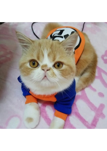 Kapüşonlu-Sullivan Tarzı M Beden Pet Kedi Kostüm Yaz Kedi Yelek Hoodie Rahat Maskotlar Gotos Kediler Için Giysiler Katten Coat Kedi Giyim Sweatshirt Kıyafet (Yurt Dışından) modelleri