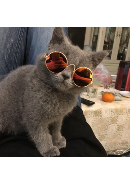No.17 Stili Kedi Güneş Gözlüğü Kişilik Komik Şapkalar Köpek Yansıtıcı Güneş Gözlüğü Oyuncak Evcil Hayvan Aksesuarları Kedi Gözlükleri Evcil Hayvan Oyuncakları Kedi Aksesuarları (Yurt Dışından) fiyatları