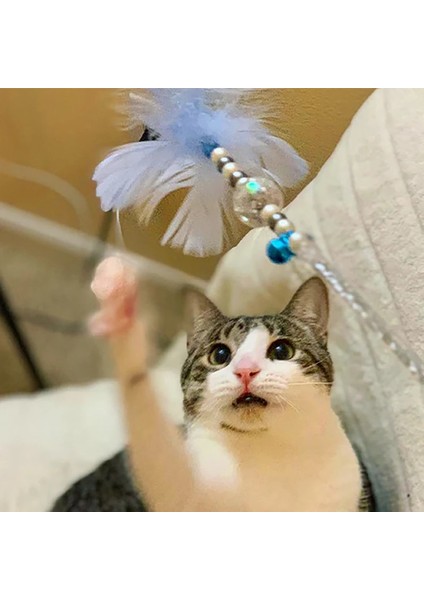 Z Stili Etkileşimli Kedi Oyuncakları Sopa Kedi Olta Oyunu Değnek Tüy Çan Oyuncak Çan Pet Malzemeleri ile Kedi Aksesuarı (Yurt Dışından) fırsatları