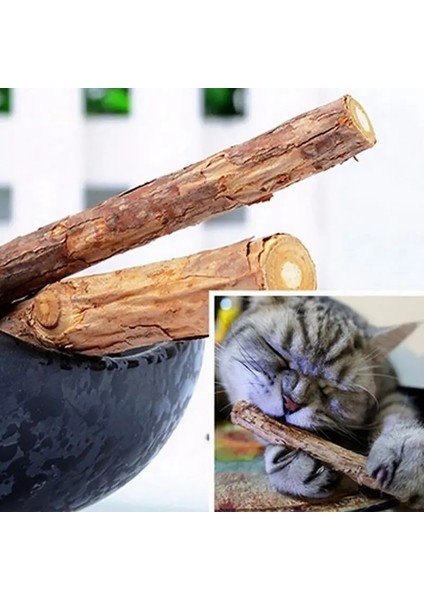 Sarı Stil Legendog Doğal Rattan Ahşap Sopa Kedi Diş Temizleme Catnip Sopa Kedi Çiğneme Oyuncak Pet Malzemeleri Kedi Şekeri (Yurt Dışından) fırsatları
