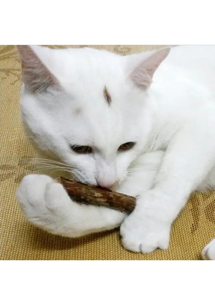 Sarı Stil Legendog Doğal Rattan Ahşap Sopa Kedi Diş Temizleme Catnip Sopa Kedi Çiğneme Oyuncak Pet Malzemeleri Kedi Şekeri (Yurt Dışından) indirimleri