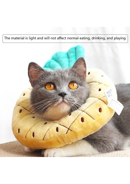 Ananas Tarzı M Beden Pet Kedi Yaka Meyve Şekilli Kurtarma Ayarlanabilir Pamuk Karışımları Boyun Isırmayı Önler Kurtarmak Kedi Köpek Elizabeth Pet Koruma Tasmaları (Yurt Dışından) modelleri