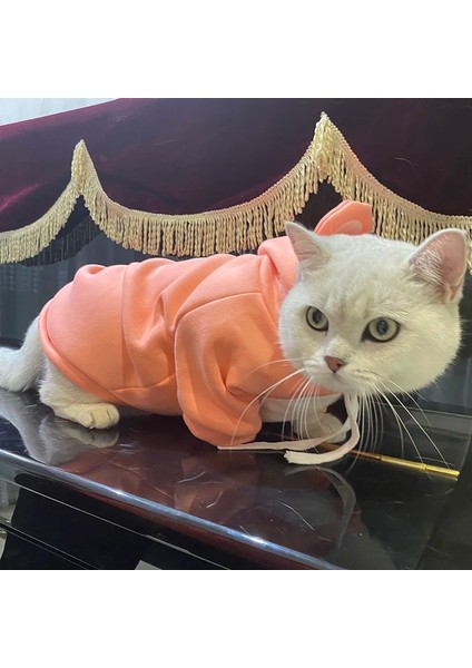 Kahverengi Tarzı Xs Beden Ilkbahar Sonbahar Kedi Köpek Giysileri Hoodie Sıcak Sevimli Kulak Kediler Için Pet Kazak Kazaklar Yavru Yavru Giyim Kostüm Ropa Gato Sphynx (Yurt Dışından)