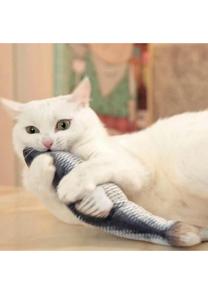 F Elektrikli Balık Stili 30CM Elektronik Fape Kedi Oyuncak Elektrikli USB Şarj Simülasyon Balık Oyuncakları Komik Kedi Çiğneme Çalma Malzemeleri Disket Sallama Balık (Yurt Dışından) indirimleri